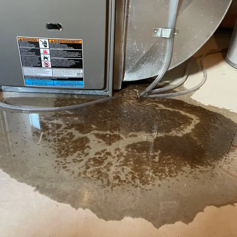 Appliance Leak Cleanup in Waihee-Waiehu, HI